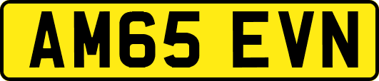 AM65EVN