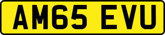 AM65EVU