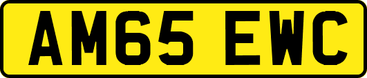 AM65EWC