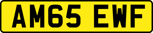AM65EWF