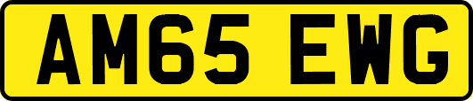 AM65EWG
