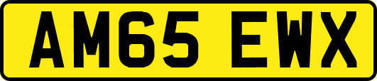 AM65EWX