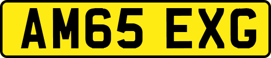 AM65EXG
