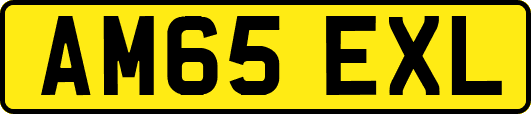AM65EXL