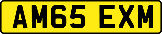 AM65EXM