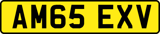 AM65EXV