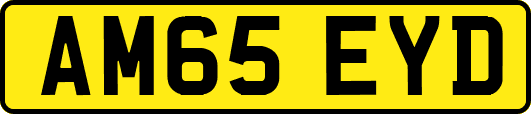 AM65EYD