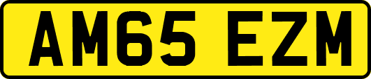 AM65EZM