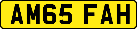 AM65FAH