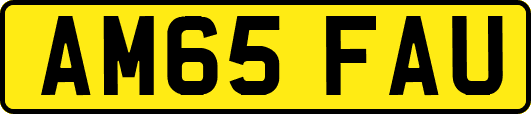 AM65FAU