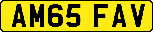 AM65FAV