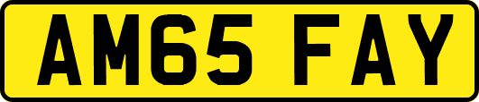 AM65FAY