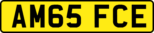 AM65FCE
