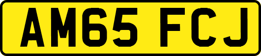 AM65FCJ