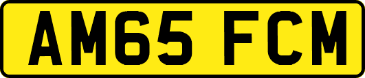 AM65FCM