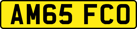 AM65FCO