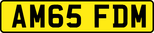 AM65FDM