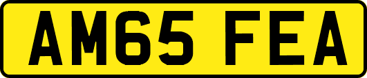 AM65FEA