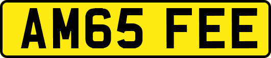 AM65FEE