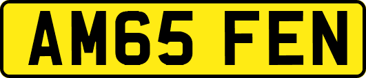 AM65FEN