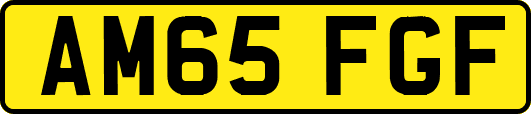 AM65FGF