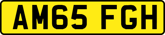 AM65FGH