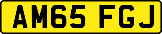AM65FGJ