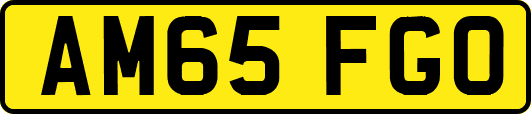 AM65FGO