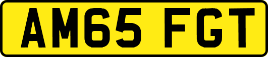 AM65FGT