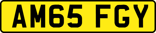 AM65FGY