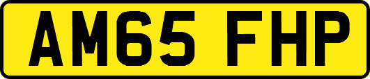 AM65FHP