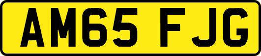 AM65FJG