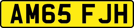 AM65FJH
