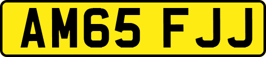 AM65FJJ