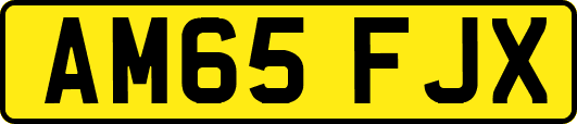 AM65FJX