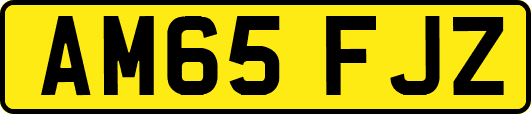 AM65FJZ