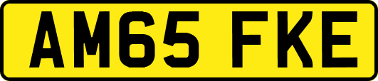 AM65FKE