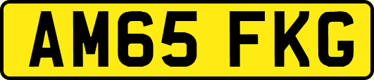 AM65FKG