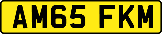 AM65FKM