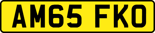 AM65FKO