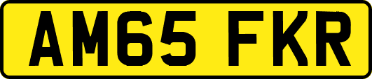 AM65FKR