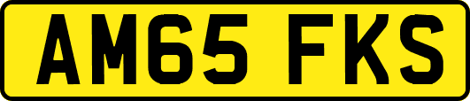 AM65FKS