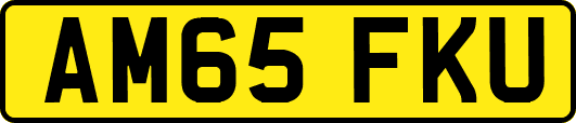 AM65FKU