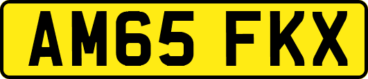 AM65FKX