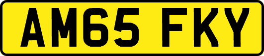 AM65FKY