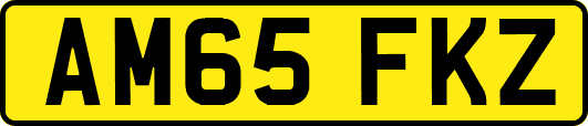 AM65FKZ