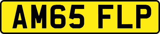 AM65FLP