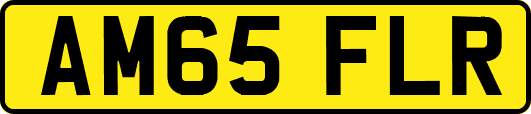 AM65FLR