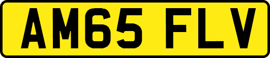 AM65FLV