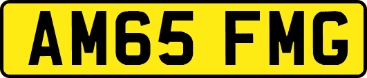 AM65FMG